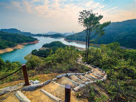 城門水塘|城門水塘行山路線+交通 新手2小時短線 5大打卡景點。